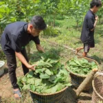 WhatsApp Image 2025-09-30 at 17.22.21