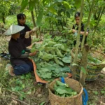 WhatsApp Image 2025-09-30 at 17.22.22 (1)